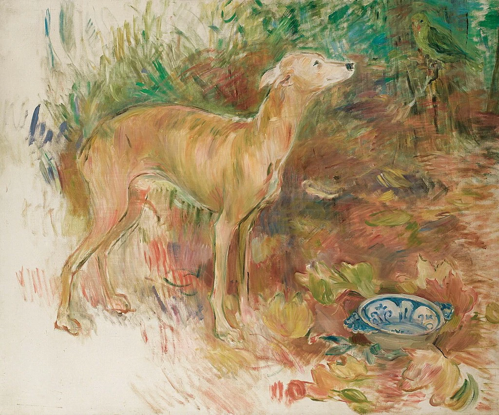 Il levriero